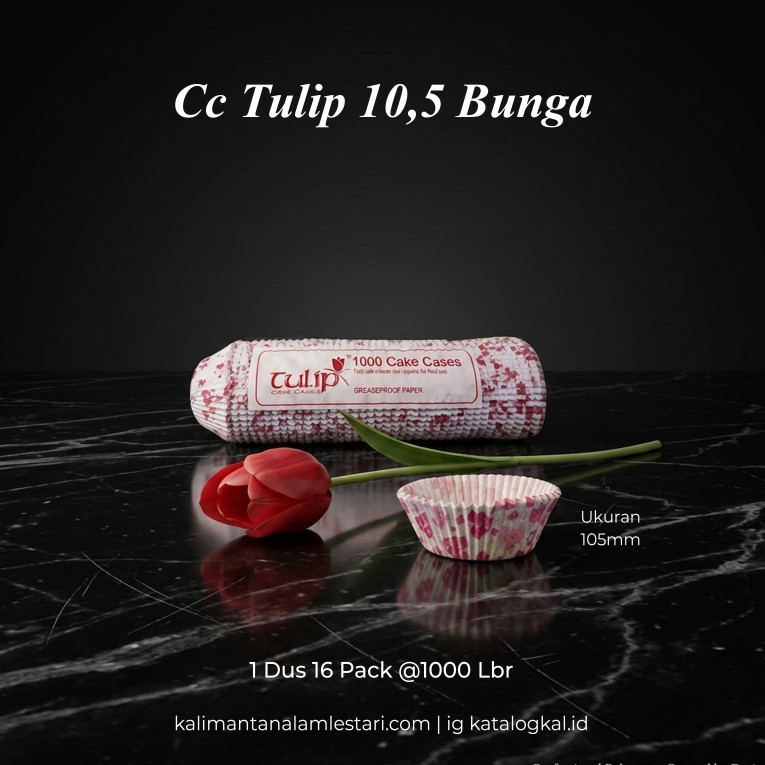 [Tulip] - Cc Tulip 10,5 Bunga