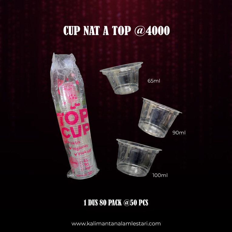 [TOP] - Cup Nat A Top