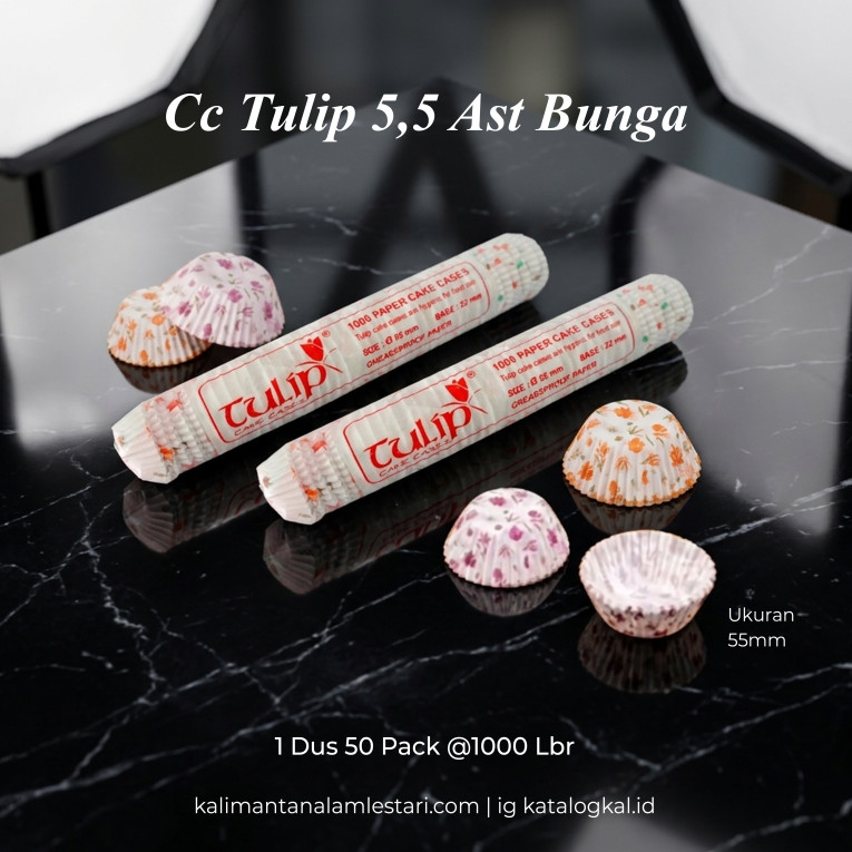 [Tulip] - Cc Tulip 5,5 Ast Bunga